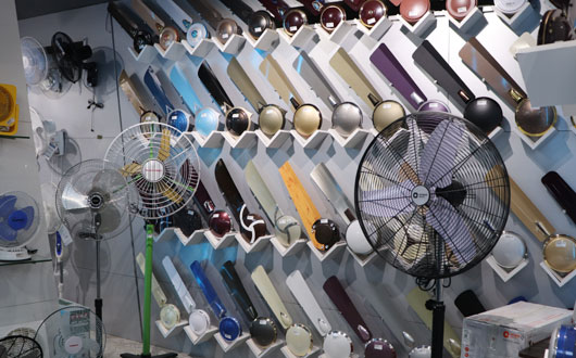 Fan